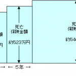 健康状態に関する告知が不要！あんしん生命がシニア向け終身保険を発売