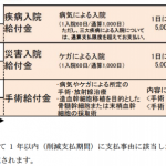 損保ジャパン日本興亜ひまわり生命の「新・健康のお守り　ハート」とは